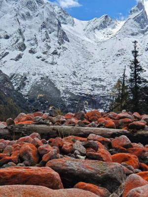 （林海雪原）理小路+四姑娘山+毕棚沟+达古冰川3日游（2-8人）
